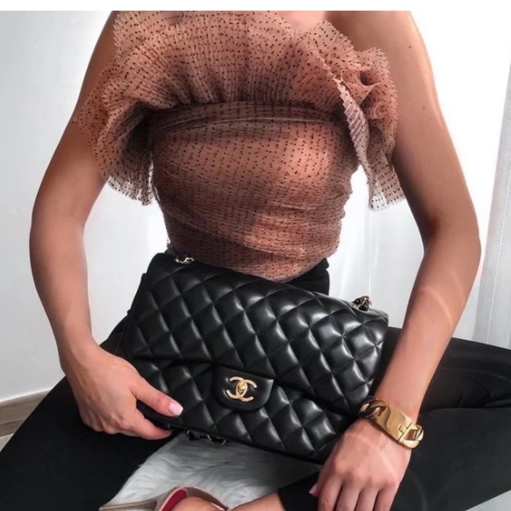 ZARA TULLE RUFFLE CROPPED ORGANZA TOP